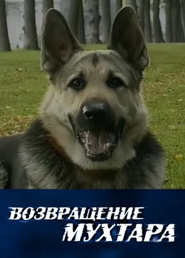 Возвращение Мухтара 10 сезон 1-48 серия смотреть бесплатно